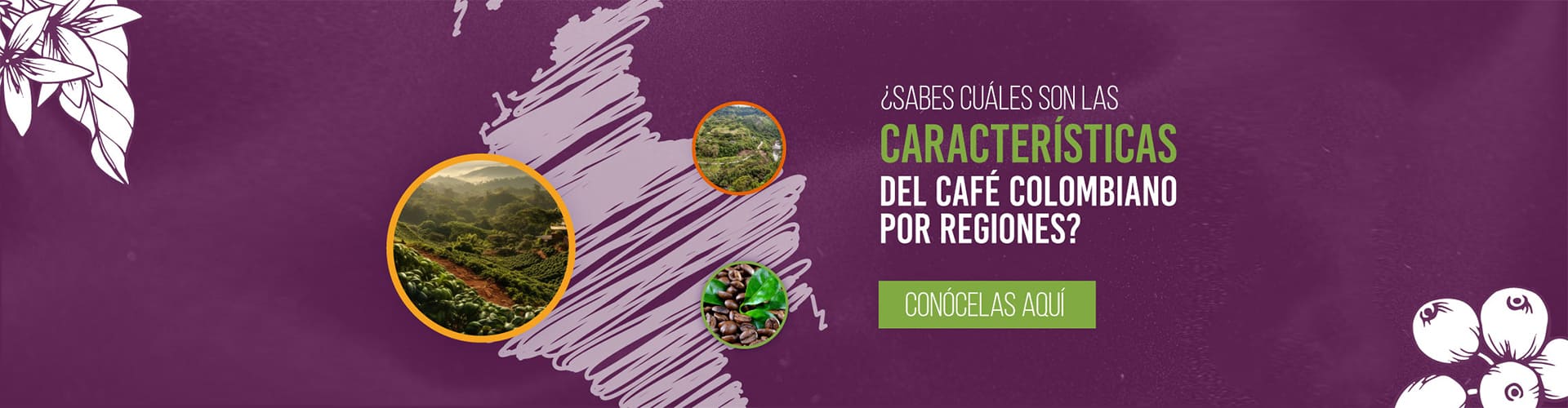 Banner Cafés de Colombia Expo